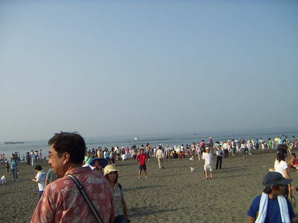 海岸のペット風景