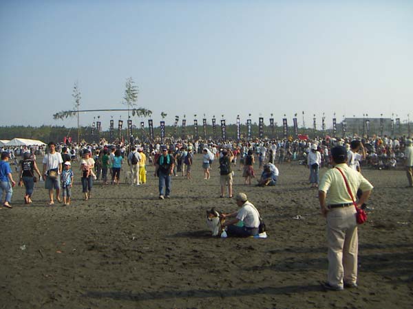 海岸のペット風景