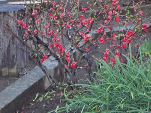海岸の近隣風景