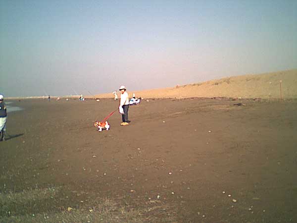 海岸のペット風景