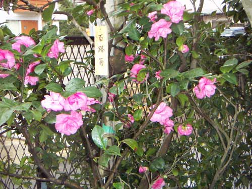 海岸の近隣風景