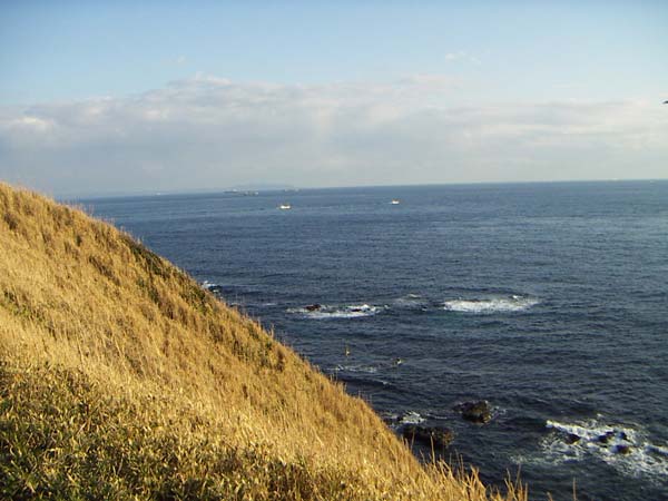 城ヶ島公園から海