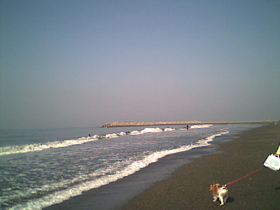 海岸を散歩の風景