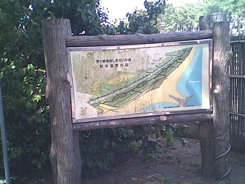 海岸のペット風景