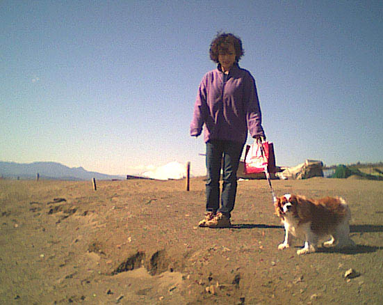 海岸のペット風景