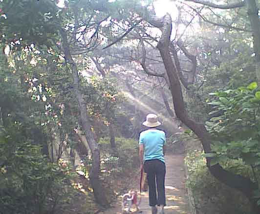 海岸のペット風景
