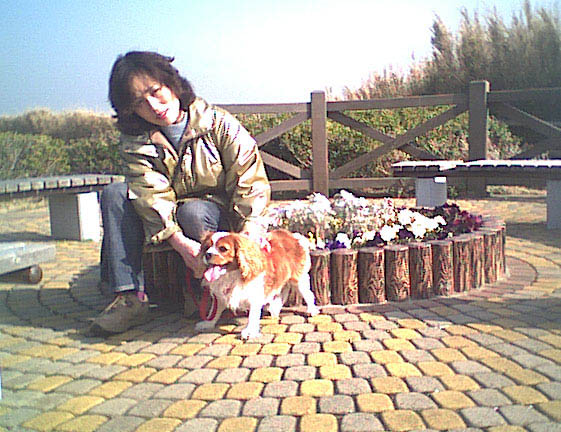 海岸のペット風景