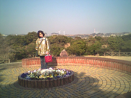 水仙とペット風景