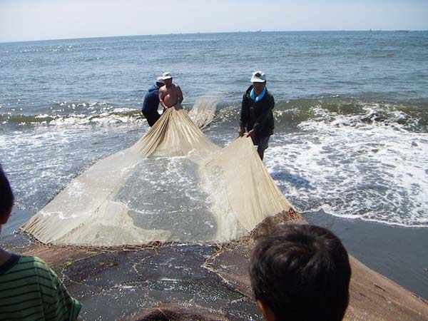 地引網漁風景