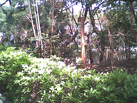 しおさいの森風景