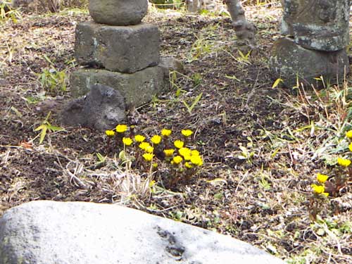 小諸のお寺風景