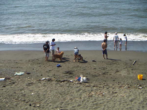 茅ヶ崎海岸