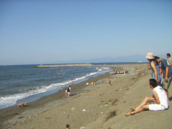 網の引き上げを待