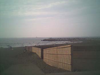 防護策から入浜