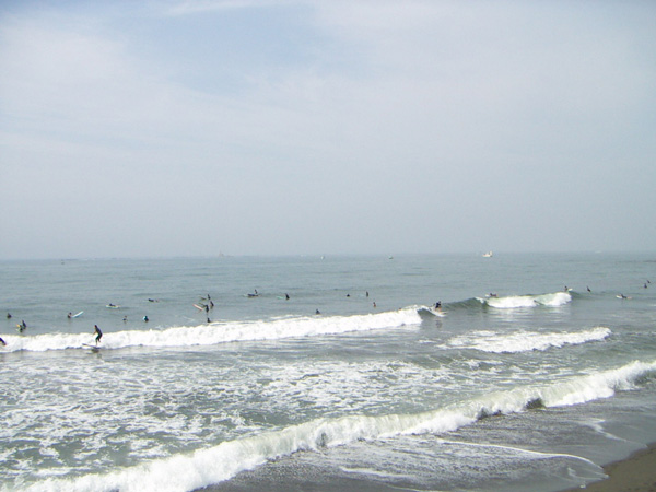 海岸からサーフを観る