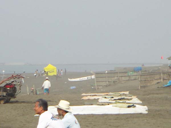 海岸での風景景